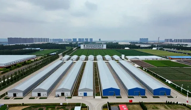 施工安全管理中的关键流程与维护策略